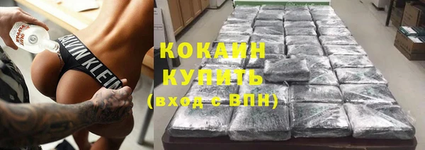 прущие грибы Бронницы