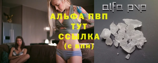ГАЛЛЮЦИНОГЕННЫЕ ГРИБЫ Белокуриха