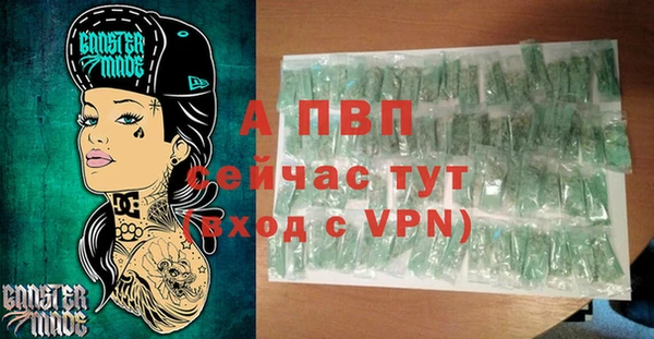 сатива Болхов