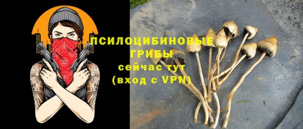 трава Бугульма