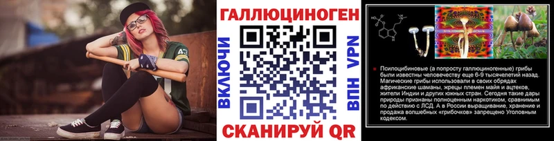 дарнет шоп  Губкинский  Галлюциногенные грибы Psilocybe 